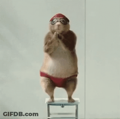 Dancing Chipmunk Diving GIF