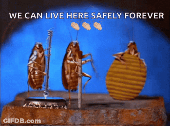 Dancing Cockroach Safely Forever GIF