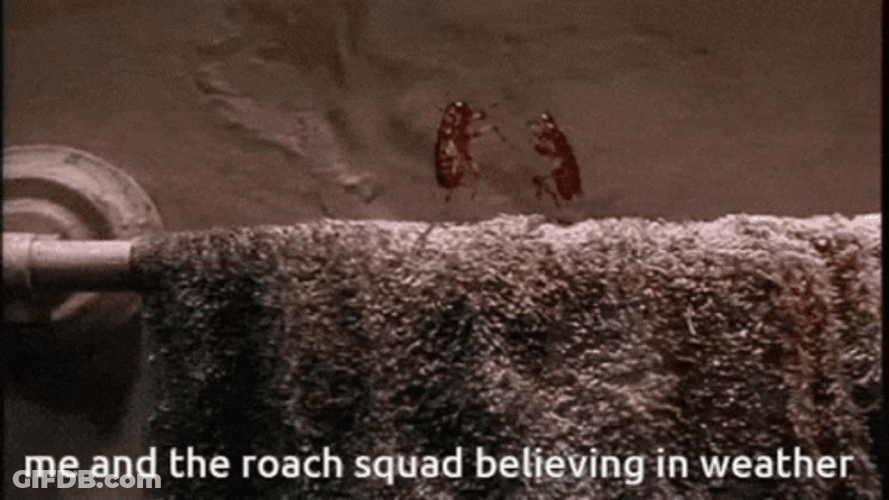 Dancing Cockroach Squad GIF