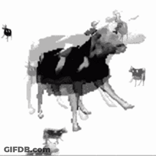 Dancing Cow And Glitching Duplicates GIF