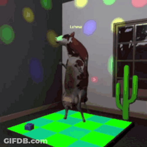 Dancing Cow In Disco Party GIF
