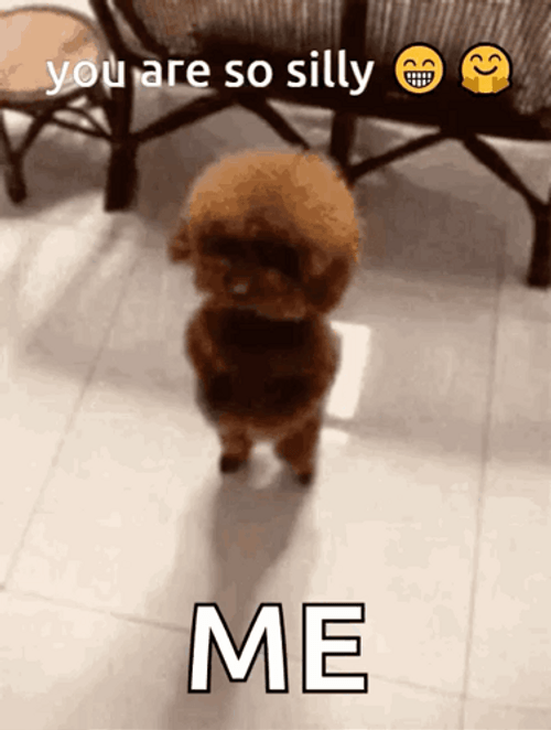 Dancing Cute Puppy Goofy Meme So Silly GIF