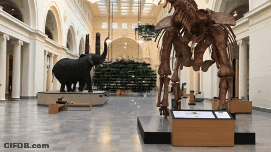 Dancing Dino Running Around Museum GIF