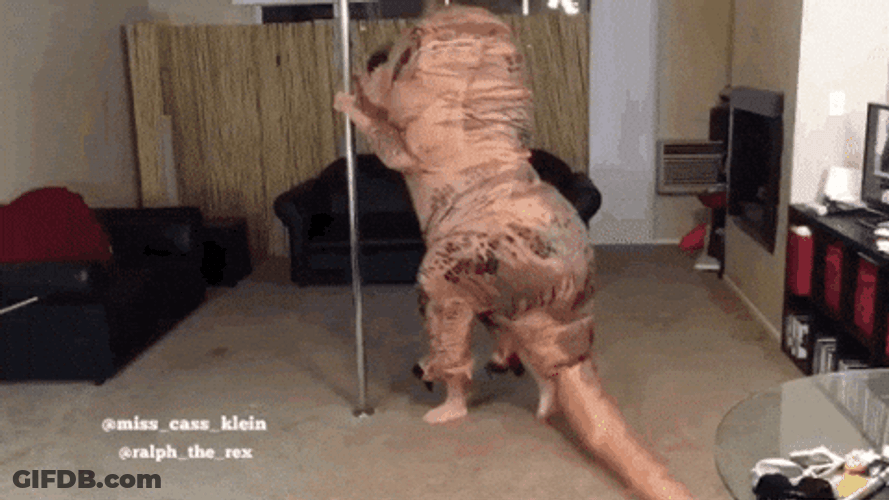 Dancing Dino Trex Mascot Pole Dancing GIF