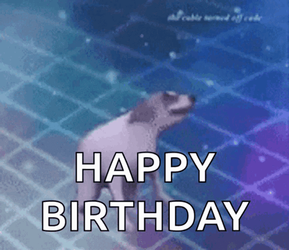 Dancing Dog Funny Happy Birthday Meme GIF