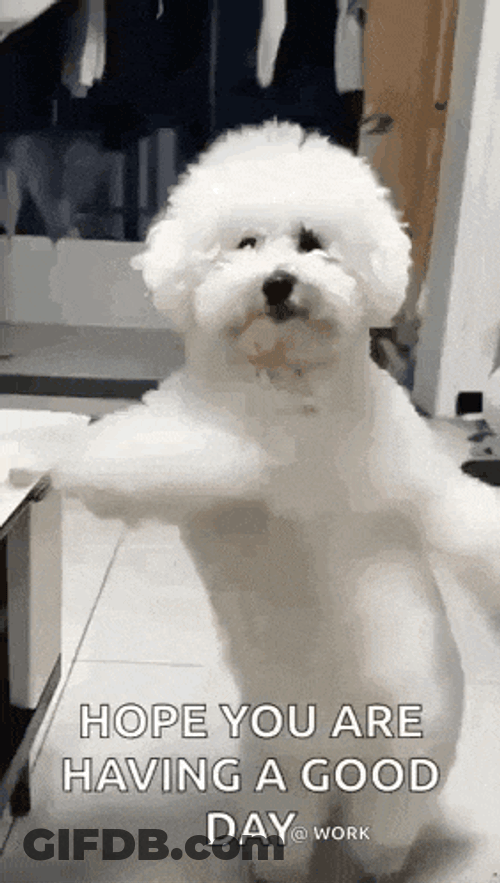 Dancing Dog GIF