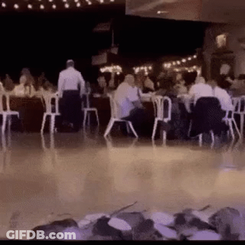 Dancing Dog In Restaurant With People GIF
