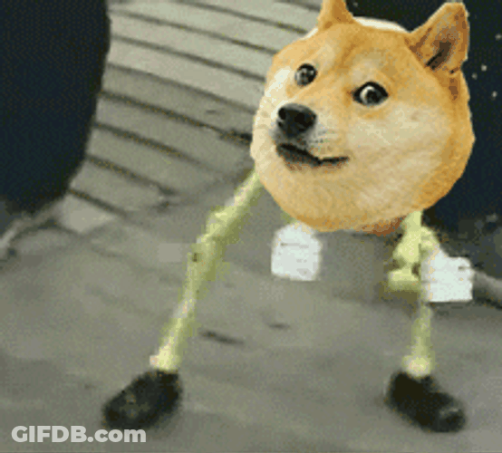 Dancing Dog Meme Face Skeleton GIF