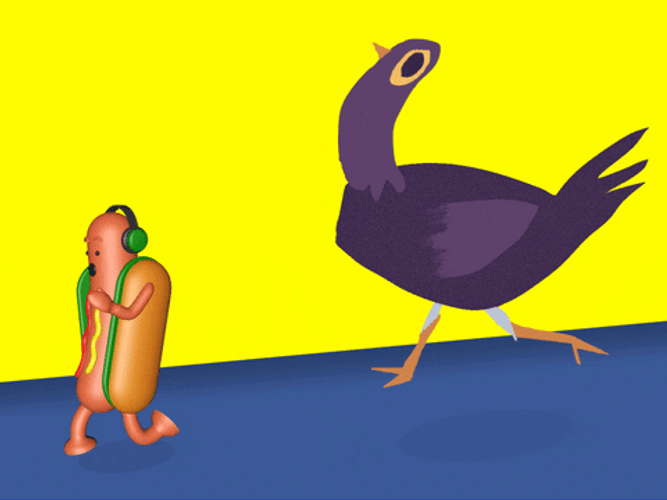 Dancing Dog Meme Head Banging Bird GIF