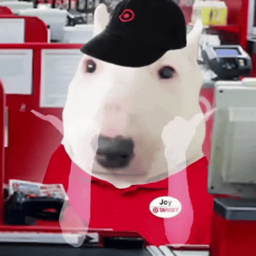 Dancing Dog Meme Tiktok Dance GIF
