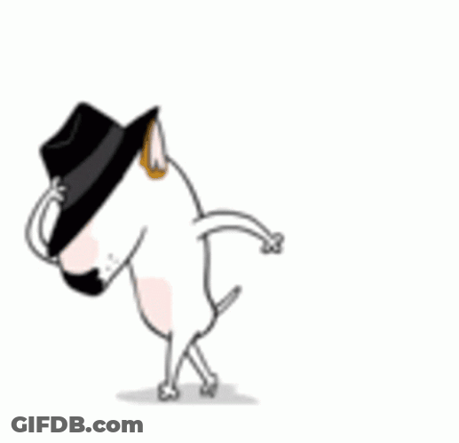 Dancing Dog Michael Jackson Moonwalk GIF