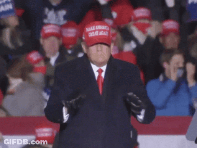Dancing Donald Wearing Maga Hat GIF