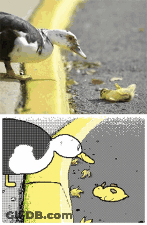 Dancing Duck Baby And Mom Bopping GIF
