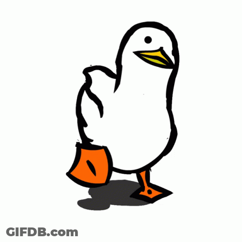 Dancing Duck Cute Walking Head Bopping GIF