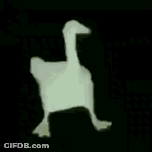Dancing Duck Funny Happy Feet Dance GIF