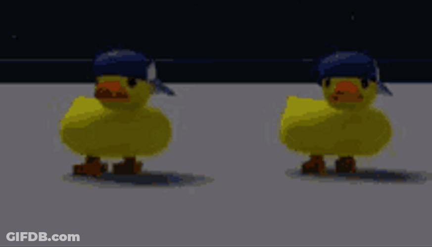 Dancing Duck Hip Hop Twins GIF