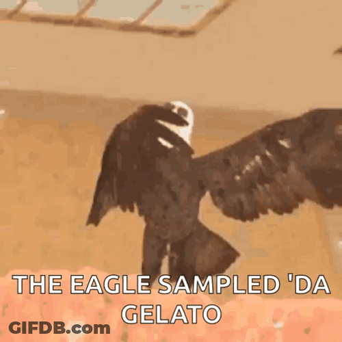 Dancing Eagle Sampled Da Gelato GIF