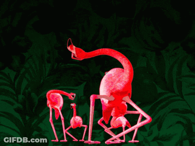 Dancing Flamingo GIF