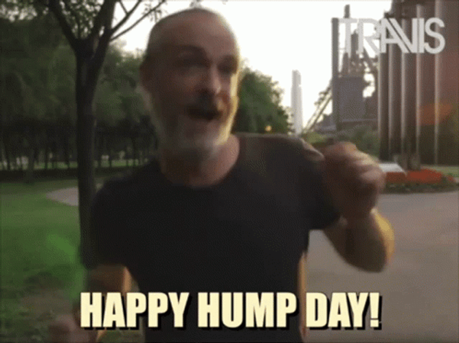 Dancing Fran Healy Happy Hump Day Meme GIF