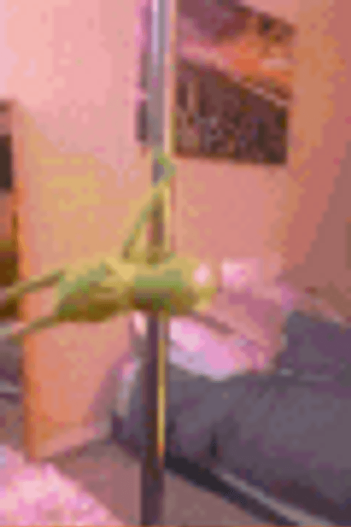 Dancing Frog Muppet Babies Kermit Poll Dancing GIF