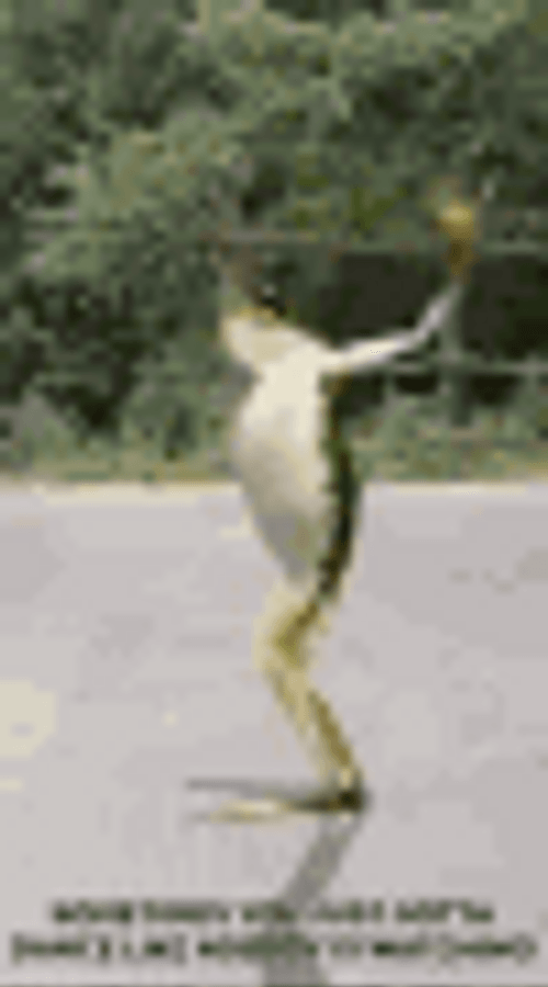 Dancing Frog Sexy Dance Cool Turn GIF