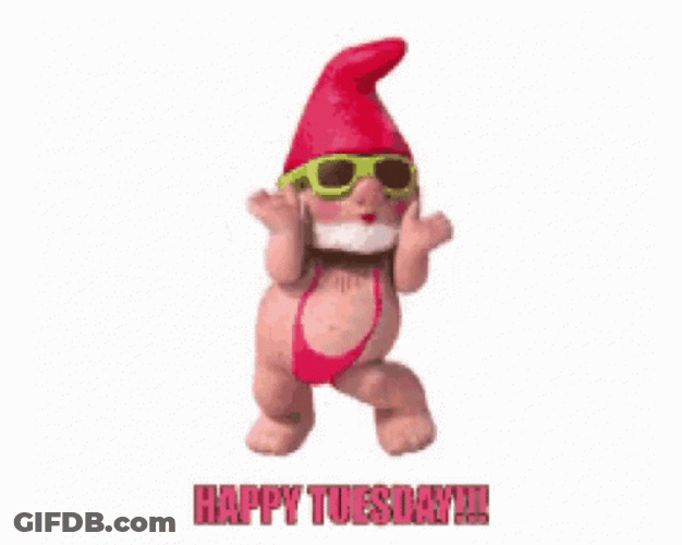 Dancing Gnomes Cute Tuesday GIF