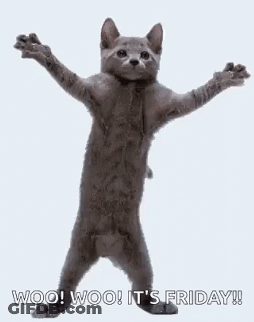 Dancing Gray Cat Its Friday GIF