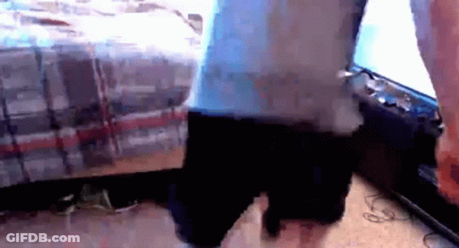 Dancing Ickey Shuffle In Front Of TV GIF