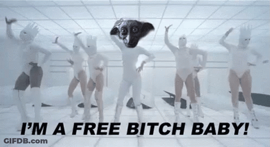 Dancing Lady Gaga Dobby Face Swap GIF
