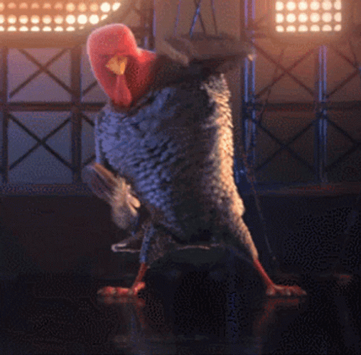 Dancing Male Turkey GIF