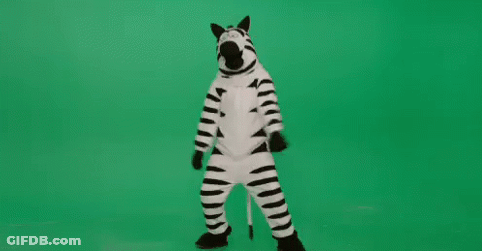 Dancing Mascot Zebra Green Screen GIF