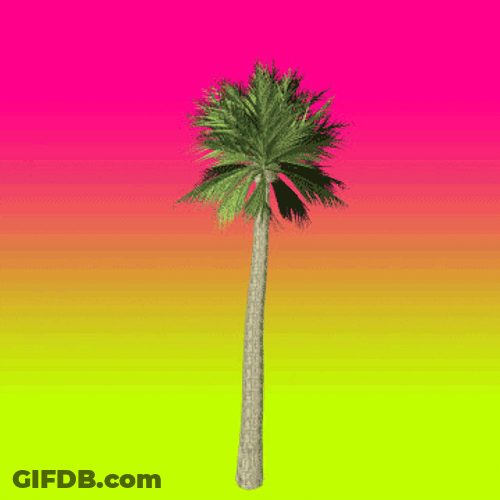 Dancing Miami Styled Palm Tree Vector Art GIF