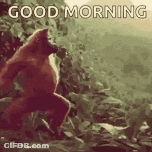 Dancing Monkey In Humor Good Morning Tuesday GIF