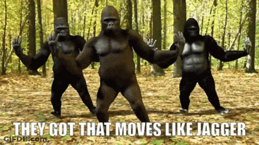 Dancing Monkey Shaking Shimmy GIF
