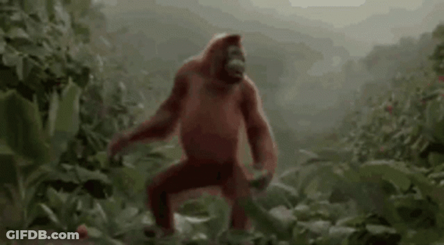 Dancing Orangutan In The Forest GIF