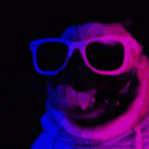 Dancing Pug Dog In The Dark Wearing Shades GIF