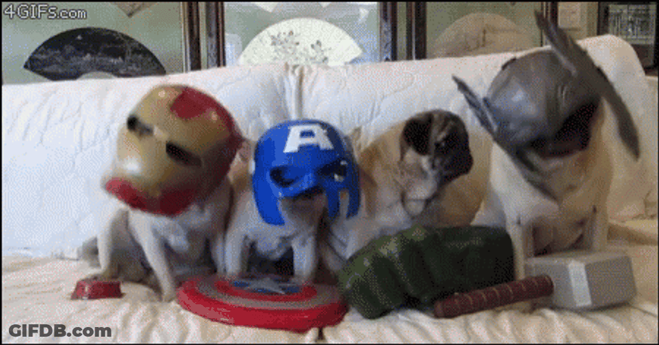 Dancing Pug Dog Super Hero GIF