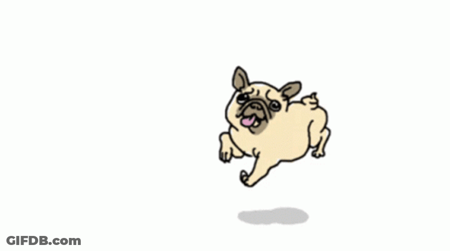 Dancing Pug GIF