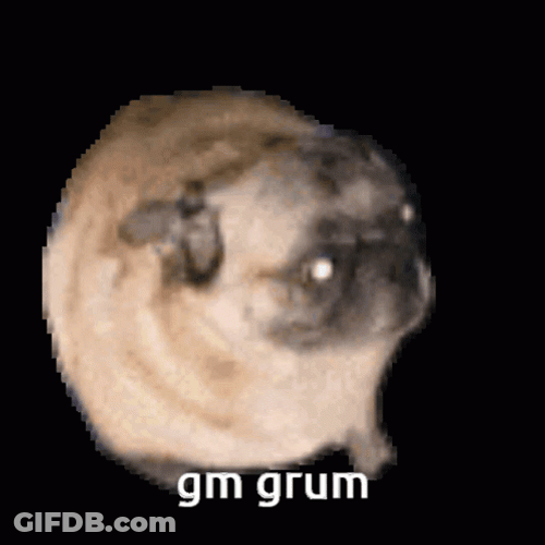 Dancing Pug Grum GIF
