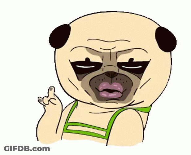 Dancing Pug Head Shake GIF