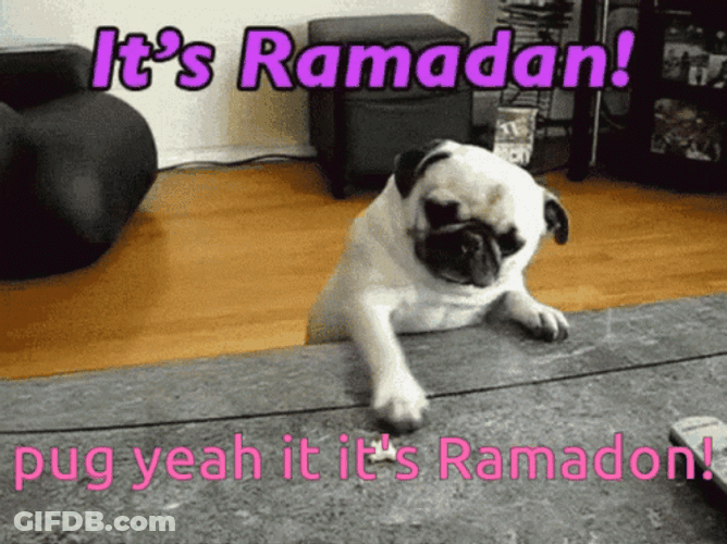 Dancing Pug Its Ramadan GIF