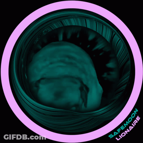 Dancing Pug On Round Frame GIF