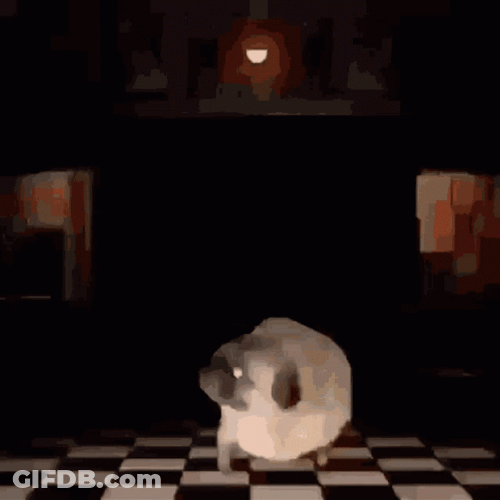 Dancing Pug To Fnaf Music Box GIF