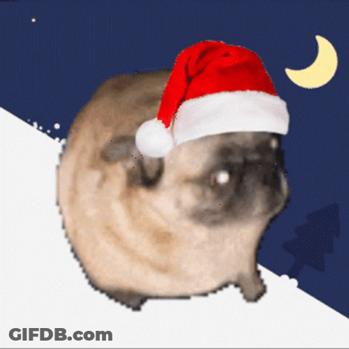 Dancing Pug With Christmas Hat GIF