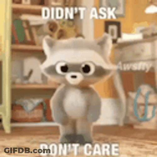 Dancing Raccon Dont Care GIF