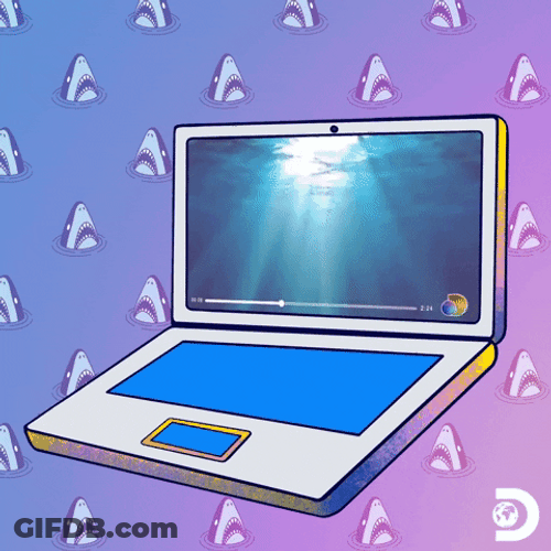 Dancing Shark Dive From The Laptop GIF