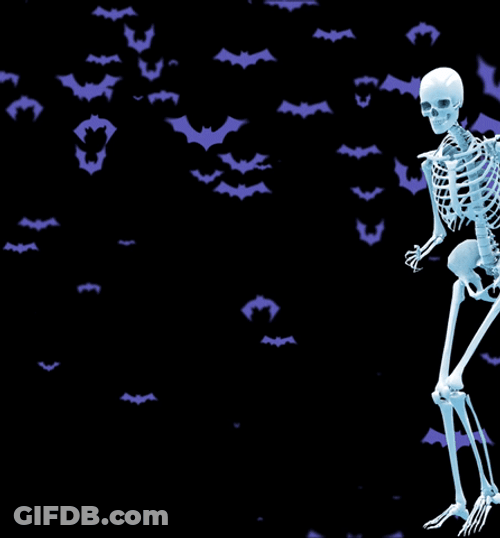 Dancing Skeleton And Bat Meme GIF