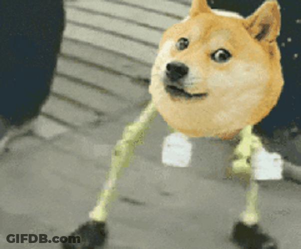 Dancing Skeleton Dog Meme GIF