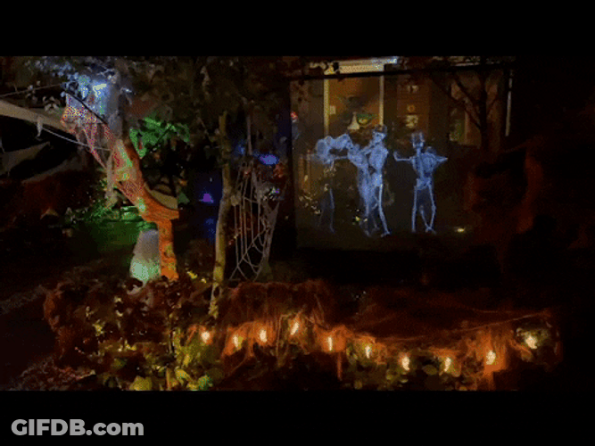 Dancing Skeleton On Garden Meme GIF