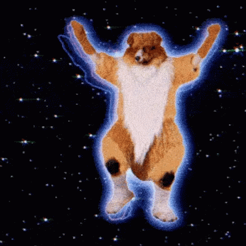 Dancing Space Dog Stars GIF